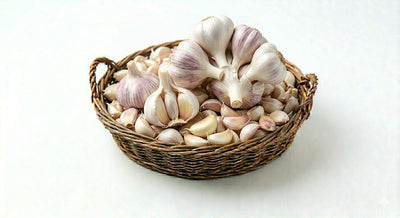 Garlic