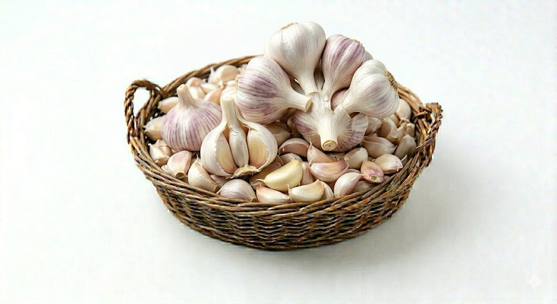 Garlic