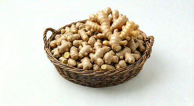 Ginger