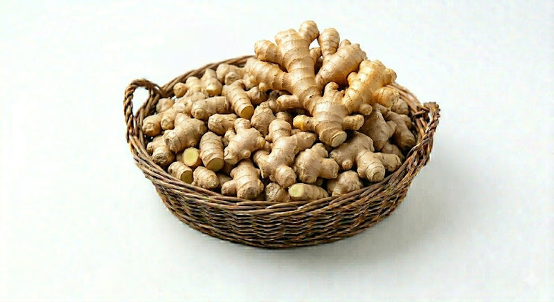 Ginger