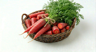 Carrot